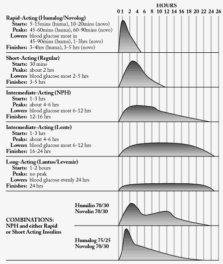 Aνάλογα ταχείας δράσης Διαλυτή ινσουλίνη Actrapid/Regular NovoRapid/Apidra Ενδιάμεσης δράσης (NPH) Ενδιάμεσης