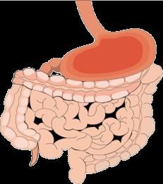 Current antidiabetic treatment