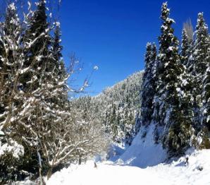 ΦΕΒΡΟΥΑΡΙΟΣ / FEBRUARY 018 ΔΕΥΤΕΡΑ / MONDAY ΤΡΙΤΗ / TUESDAY ΤΕΤΑΡΤΗ / WEDNESDAY ΠΕΜΠΤΗ / THURSDAY 9 0 1 1 Τρύφωνος μάρτυρος, Περπετούας μάρτυρος, Αναστασίου νεομάρτυρος ΠΑΡΑΣΚΕΥΗ / FRIDAY ΣΑΒΒΑΤΟ /