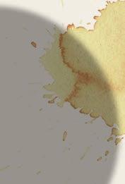 καβουρδισμένου καφέ, σοκολάτας, καραμέλας και ξηρών καρπών,