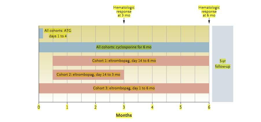 Ελτρομομπάγκη και ανοσοκατασταλτική αγωγή στην απλαστική αναιμία Προοπτική μελέτη φάσης 1-2 Σε 92 ασθενείς με επίκτητη απλαστική αναιμία χορηγήθηκε ταυτόχρονα με την κλασική αγωγή,