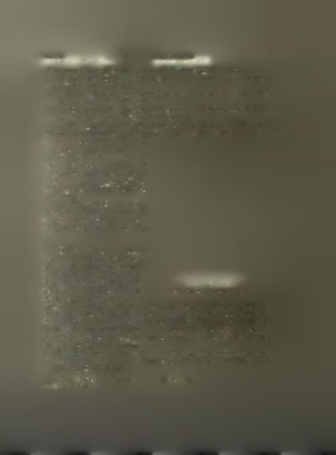 Ύψ. 0.105 μ., διάμ. 0.038 μ. 17.