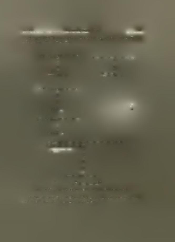 , δ.χ. 0.10 μ., δ.β. 0.045 μ. ο 0.5 Ο./Ο Είκ. 18.