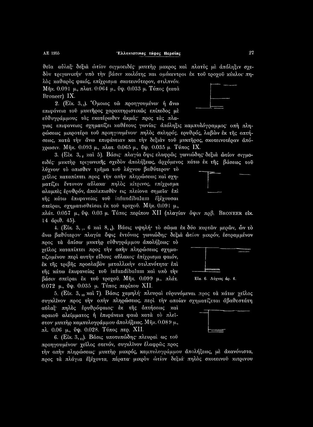 , ΰψ. 0.035 μ. Τύπος IX. 3. (Είκ. 3,2 καί 5).