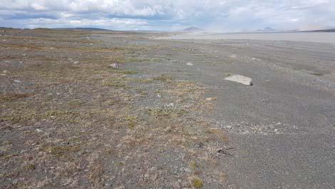 3.5 Austurströnd Kringilsárrana sunnan Hrauka Á þessum kafla strandlengjunnar eru allar gerðir landbrots (tafla 6, kort 7) og sums staðar hefur dregið úr landbro þó að á köflum sé landbrot mikið.