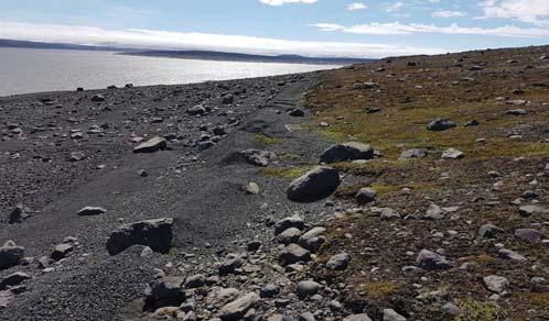 3.6 Austurströnd Kringilsárrana norðan Syðri- Hrauka Syðsta svæði hefur lí ð breyst frá upphafi mælinga og landbrot þar óverulegt þó að á stu um köflum sé það skráð töluvert (tafla 7, kort 8).