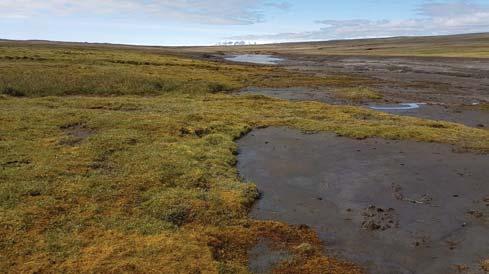 Óverulegur halli 1485,4 Kort 3. Landbrot við Kringilsá skv. ú ekt sumarið 2017.