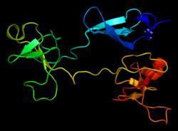 Ο ρόλος των προσροφημένων πρωτεϊνών στα βιοϋλικά Ο ρόλος της προσρόφησης μια καθαρής πρωτεΐνης στις αλληλεπιδράσεις με βιοϋλικά υποστρώματα φαίνεται και εξαρτάται από τη φύση της
