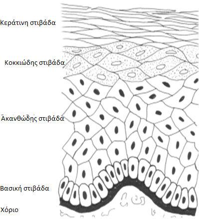 Σχήμα 8.
