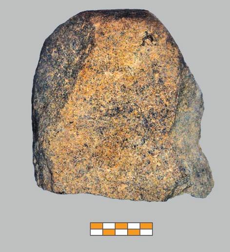 EINZELSTUDIEN TIRYNS 1 Tiryns, nördliche Unterstadt. Steingerät postpalatialer oder früheisenzeitlicher Zeitstellung mit Stärkekörnern von Weizen und Gerste Τίρυνθα, βόρεια Κάτω Πόλη.