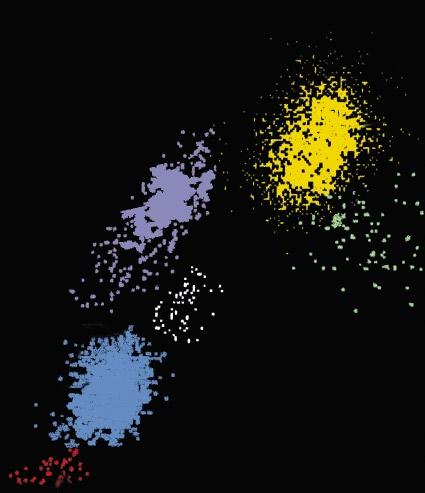 Multi-Dimensional Cell Classification M.A.P.S.S. (Multi-Angle Polarized Scatter Separation) technology applies a multi-step algorithm to the light scatter data to classify WBCs.