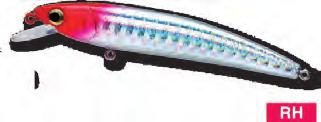 MINNOW ΒΥΘΙΣΜΑ ΚΩΔΙΚΟΣ ΤΥΠΟΣ