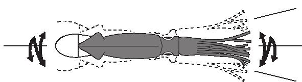HYDRO SQUIRT 140mm
