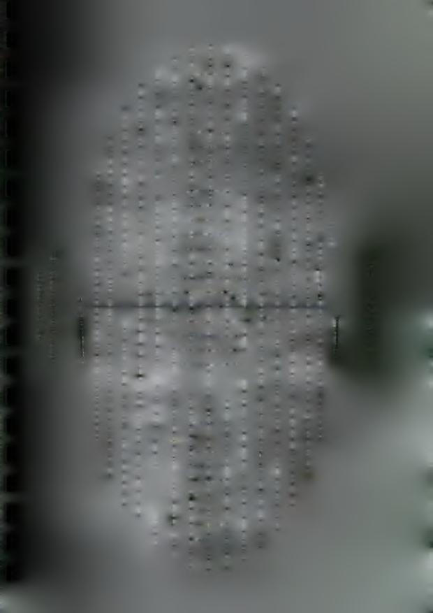 T h e c o n s te lla tio n s Mollweide's