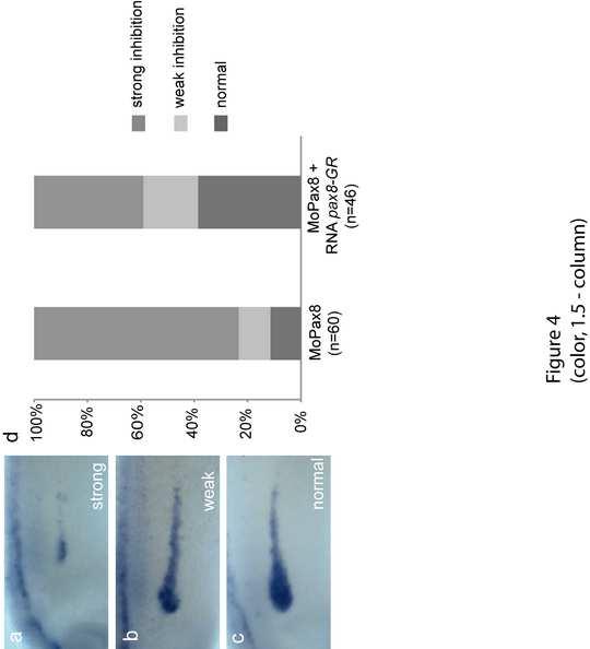 Fig.4