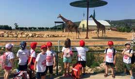 Grades 5-6 Camp Races Forest Time Activities (Adventure Games, Climbing, and Flying Fox) Beats and Music Academy club Minecraft club NEW NEW Super Days (World Games Day, Aqua Fun Day, Stars and