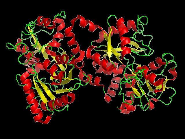 Lactoferrin-modified liposomes Η λακτοφερρίνη αποτελεί μια