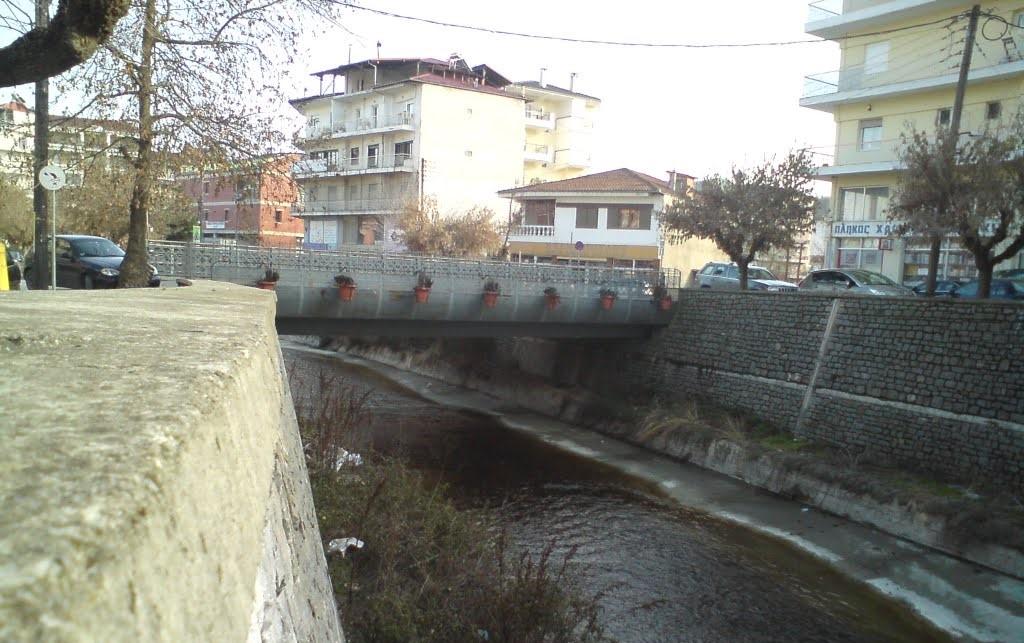 Διαχείριση Αξιοποίηση ποταμού Ο ποταμός διασχίζει την πόλη των Γρεβενών.