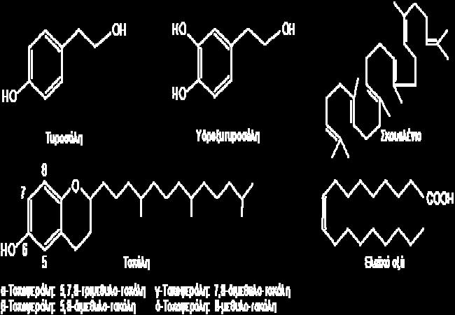 Η ολευρωπαΐνη, η τυροσόλη, η υδροξυτυροσόλη και το σκουαλένιο αποτελούν τις αντιοξειδωτικές ουσίες του ελαιολάδου και με τη συνεισφορά της α-τοκοφερόλης (βιταμίνη Ε) και το φυτικό λιπαρό οξύ ελαϊκό