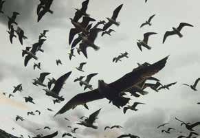 >>Film Forward ZAN 9/3 15:00 Λεβια θαν Leviathan Βερενά Παραβέλ, Λουσιάν Καστέν-Τέιλορ Lucien Castaing-Taylor, Véréna Paravel ΗΠΑ, Γαλλι α, Ηνωμε νο Βασι λειο 2012, Ε γχρωμο 87 USA, France, UK 2012,