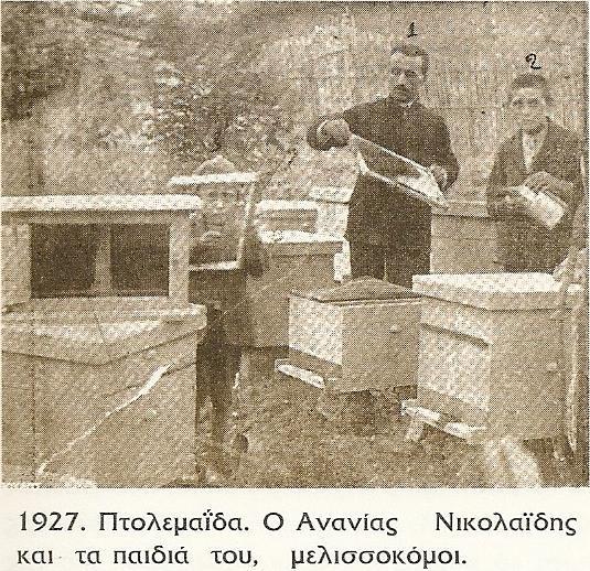 Απφ ηα φζπξηα θαιιηεξγνχληαλ ζηελ πεξηνρά ηα ξεβέζηα θαη ηα θαζφιηα.
