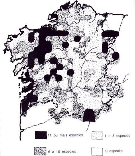 4.4. Herpetofauna O concello de Vigo sitúase nunha das zonas de maior diversidade, en relación coa herpetofauna, como reflicten os mapas Mapa 1: Diversidade de anfibios: Numero de espacies atopados