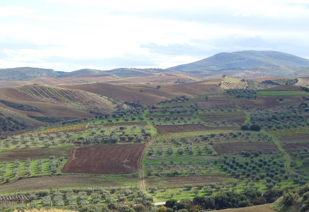 Η γεωργία έχει συνεισφέρει σημαντικά στη βιοποικιλότητα.