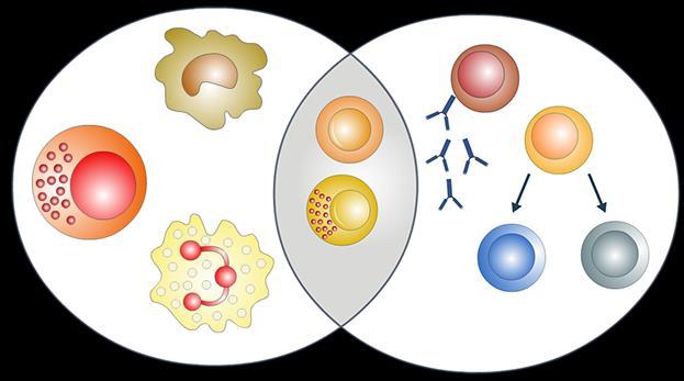 2007;4:9. 2. Kumar R, Burns EA. Age-related decline in immunity: implications for vaccine responsiveness.