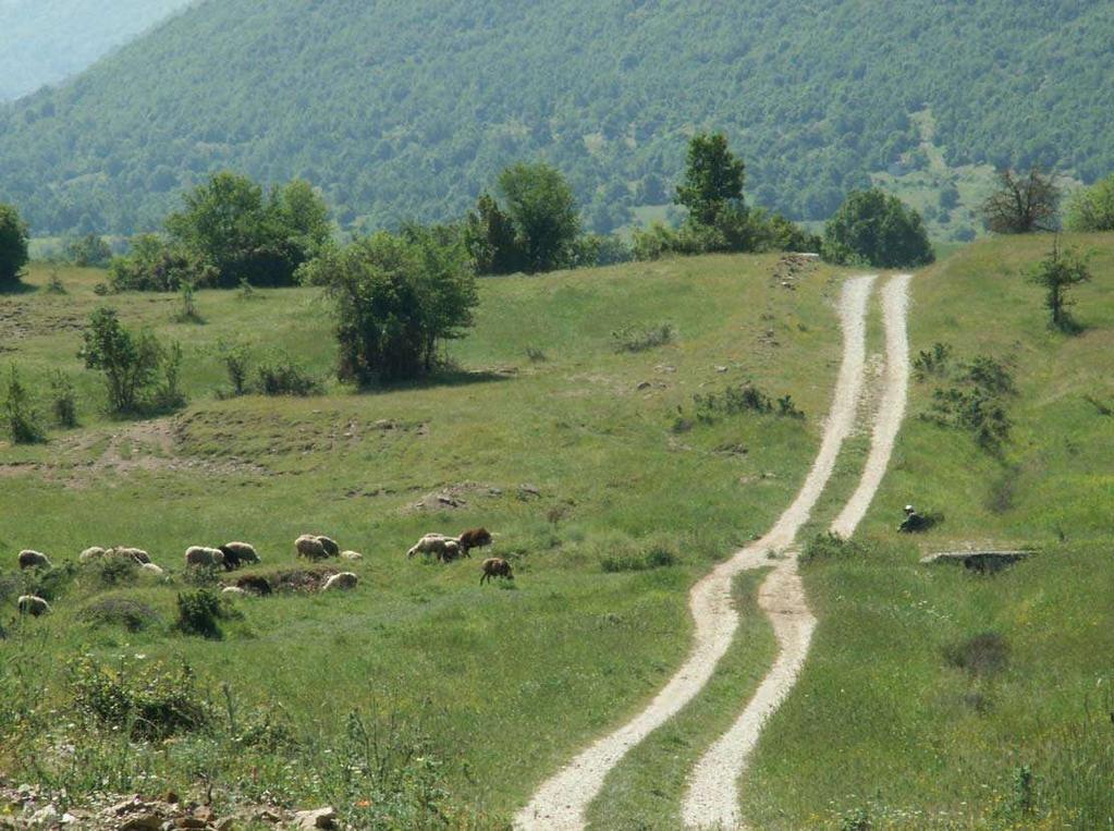 αρπακτικών πουλιών στις πεδινές,