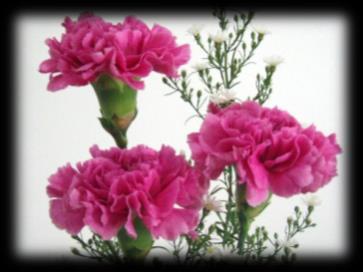 Χριστός Ανέστη! Christ is risen! As we approach Mothers Day this year on Sunday, May 13, I can t help but think back to the Mothers Days in Thessaloniki.