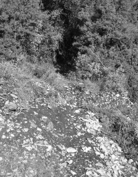 Την ευθύνη για τη λειτουργία και παρουσία του περιπτέρου του συλλόγου μας είχαν τα μέλη του: Σπυρίδων Δημ. Λαμπρούσης, Παύλος Γεωρ. Χρήστου, Κων/νος Ευαγγ. Κατσάνος και Γεώργιος Περ. Σταύρου.