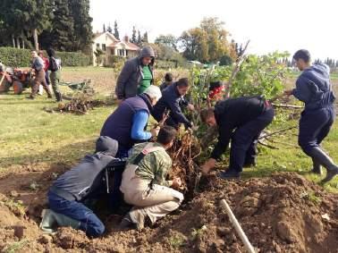 1 Εισαγωγή Πιστεύω σε µια γεωργία µε µακροπρόθεσµη προοπτική, στο χώµα που γίνεται πλουσιότερο αντί φτωχότερο από χρόνο σε χρόνο.