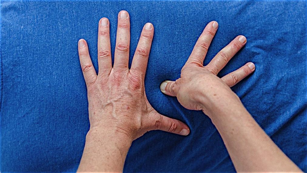 Advanced Shiatsu Therapy Advanced Shiatsu Therapy Diploma Διετής Προχωρηµένη Εκπαίδευση για Επαγγελµατίες Shiatsu Τα τελευταία χρόνια οι αυξηµένες απαιτήσεις των επαγγελµατιών του shiatsu,