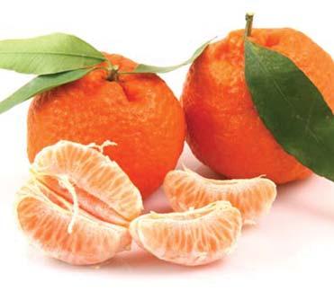 Tərkibində olan B vitamini və fosfor ilə zehni yorğunluğu aradan qaldırır.
