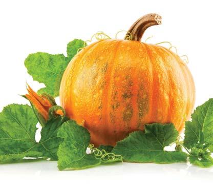 Maqneziumun əsas mənbəyi olmaqla yanaşı, C vitamini, dəmir, folat və B6 vitamininin də əsl mənbəyidir.