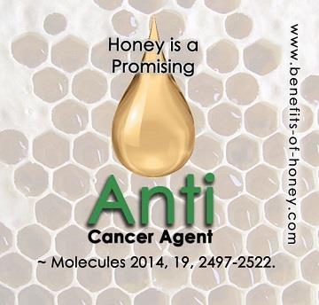 Μέλι ενάντια στον καρκίνο; Μελέτες δείχνουν ότι προστατεύει από τον καρκίνο και έχει και άμεση αντικαρκινική δράση Nor Hayati Othman, Honey and Cancer: Sustainable Inverse Relationship Particularly
