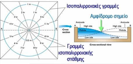 Η ανάπτυξη της παλιρροιακής κυκλοφορίας Οφείλεται στο φαινόμενο Coriolis και την παρεμπόδιση της κίνησης των υδάτινων μαζών μέσα σε ωκεάνιες