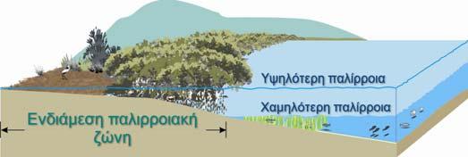 διαφέρει από το μαθηματικό λόγω διαφόρων παραγόντων οι παλίρροιες διαφέρουν από μέρος σε μέρος Το νερό