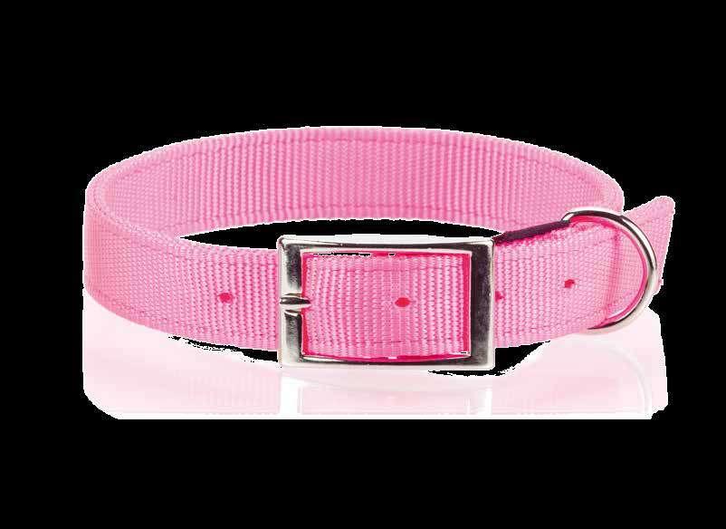 DOG ACCEORIE DOG ACCEORIE tandard Collars 100%