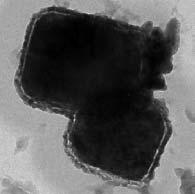 50 nm 200 nm Bioleached