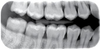 : 210 5249261 Fax: 210 5232537 Ε-mail:sales@anthoshellas.