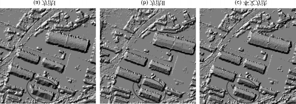 4 Enlarged views of local DSM generated by the method proposed in this paper 2.