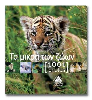 ISBN: 978-960-6753-11-4