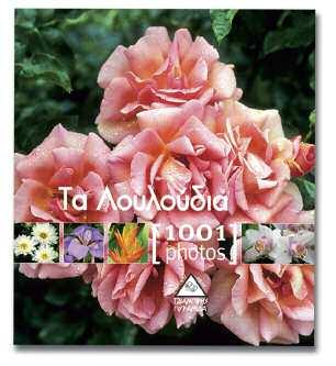 Στις σελίδες τους