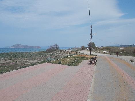ωοτοκίας. Φωτ.