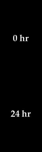 assay
