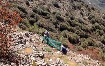 The JUNIPERCY project designed a series of specific measures to prevent or minimize the risk of fire, taking into account the special characteristics of this priority habitat within each site.