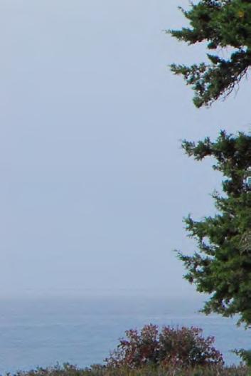 The network aims to assure the long-term survival of Europe s most valuable and threatened species and habitats, ensuring that future management is ecologically and economically sustainable.