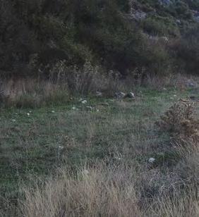 Τύπος Οικοτόπου 92A0 (Δάση-στοές με Salix alba και Populus alba) Τύπος Οικοτόπου 6420 (Υγροί μεσογειακοί λειμώνες με υψηλές πόες της Molinio-Holoschoenion) Ένας από τους κύριους στόχους που θέτει το