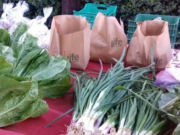 Γ. Ενημέρωση και ευαισθητοποίηση εμπλεκόμενων μερών στην προστασία της λίμνης 1.